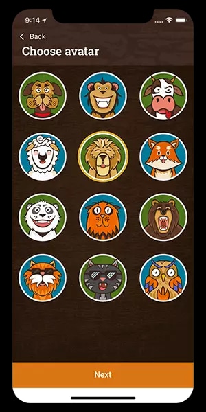 Profile Customization