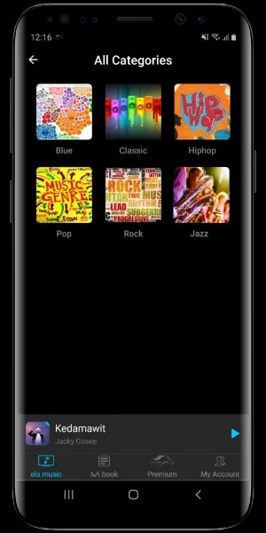 Music Categorization