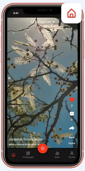 Video feed